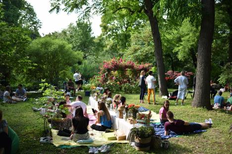 24kitchen-piknik-u-basti--relax-zona--foto-srdjan-maksimovic.jpg