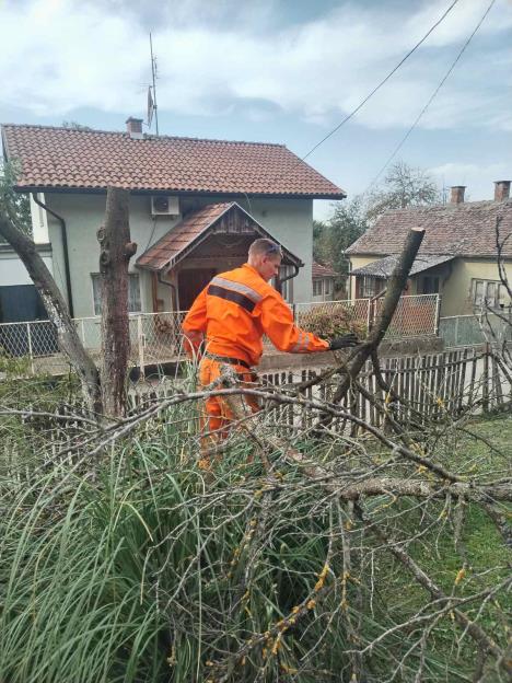 LOZNICA - Krle radi za Kristijana.jpg