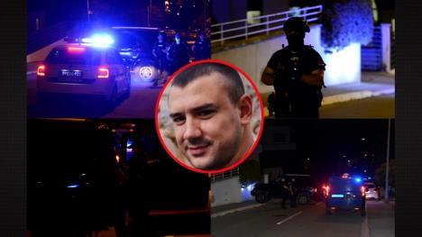 Aleksandar Vavić.jpg