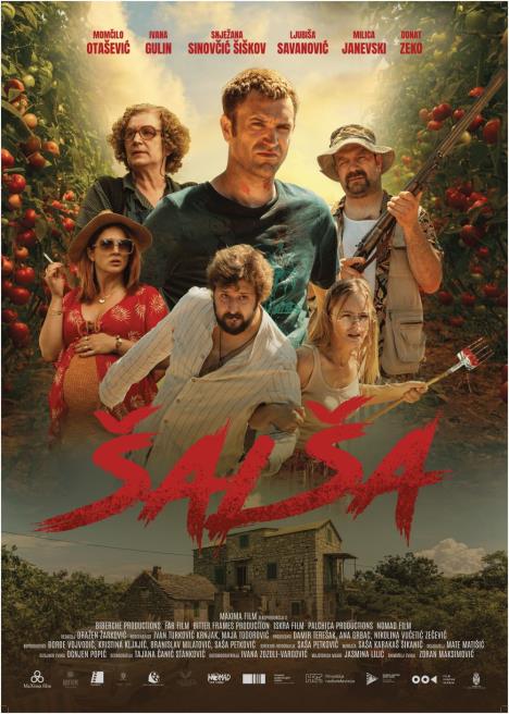 Poster_film Šalša.jpg