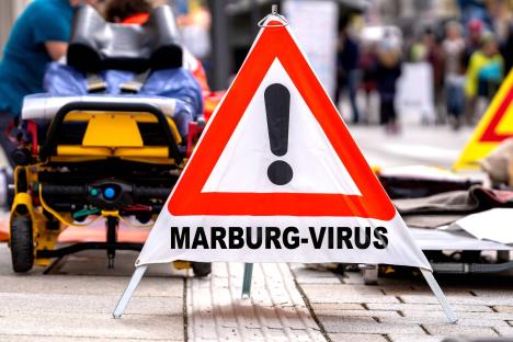 Upozorenje na Marburg virus u Africi