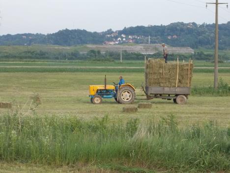 LOZNICA - Konkursi za poljoprivrednike.JPG