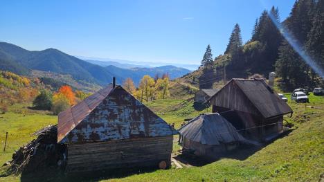 1729668068_prijepolje-blazo-slovic-fotorina8.jpeg