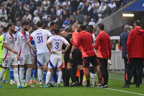 Lion, Nemanja Matić