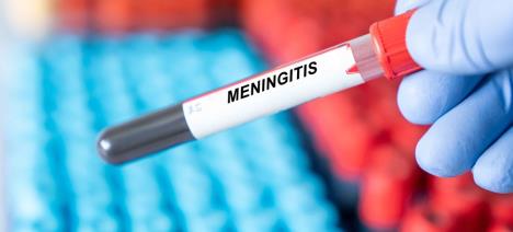 meningitis shutterstock_2278975611.jpg