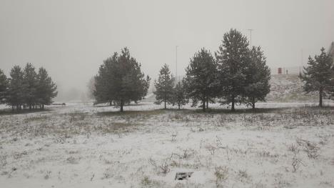 Zlatibor - sneg 2.jpg