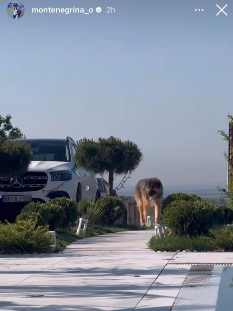 WhatsApp Image 2024-11-21 at 14.40.15_71384752.jpg