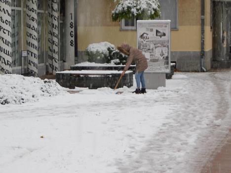 LOZNICA - Čišćenje.JPG