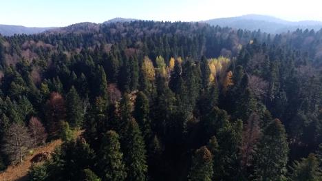 Sequence 01.01_22_58_09.Still011.jpg