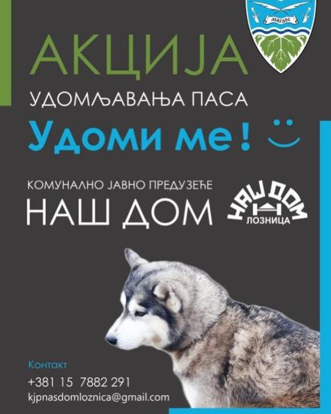 LOZNICA - Udomite psa.jpg
