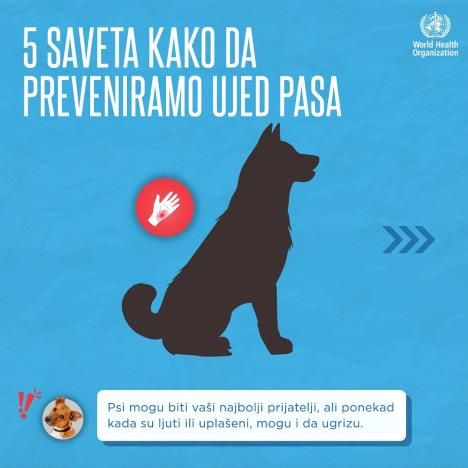 Prevencija ujeda pasa 1.jpg