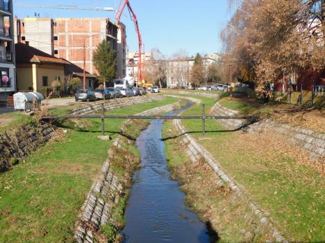 LOZNICA - Štira u Loznici.JPG