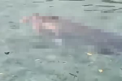 Screenshot 2024-12-17 205002.jpg