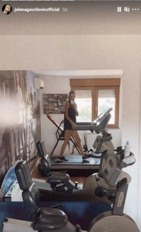 Jelena Gavrilović.jpg