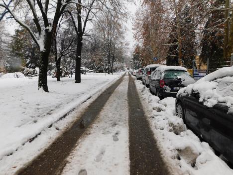 LOZNICA -U gradu.JPG