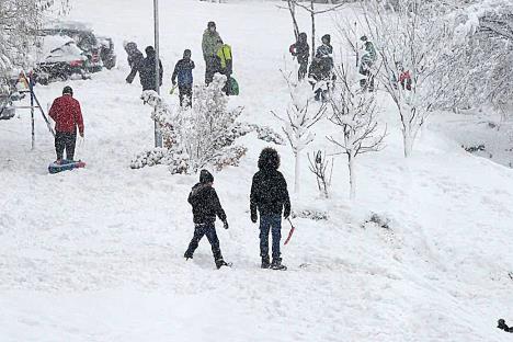 Sneg i snezno vevreme u Beogradu, foto jakov Milosevic (6).jpeg