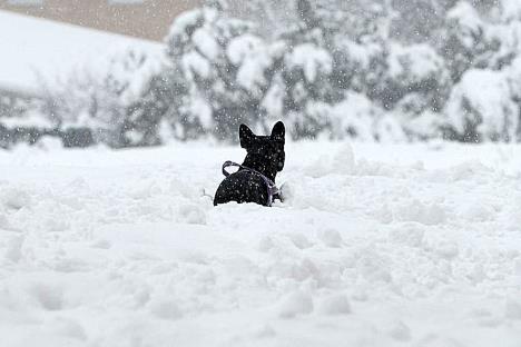 Sneg i snezno vevreme u Beogradu, foto jakov Milosevic (9).jpeg