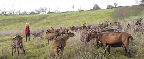 2024-12-26 13_08_27-Window.jpg