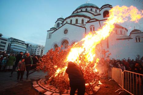 x04 Beta Milos Miskov.jpg