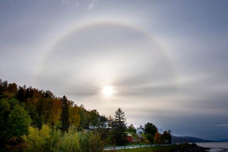 Mesec i mesečeva svetlost na nebu iznad šume