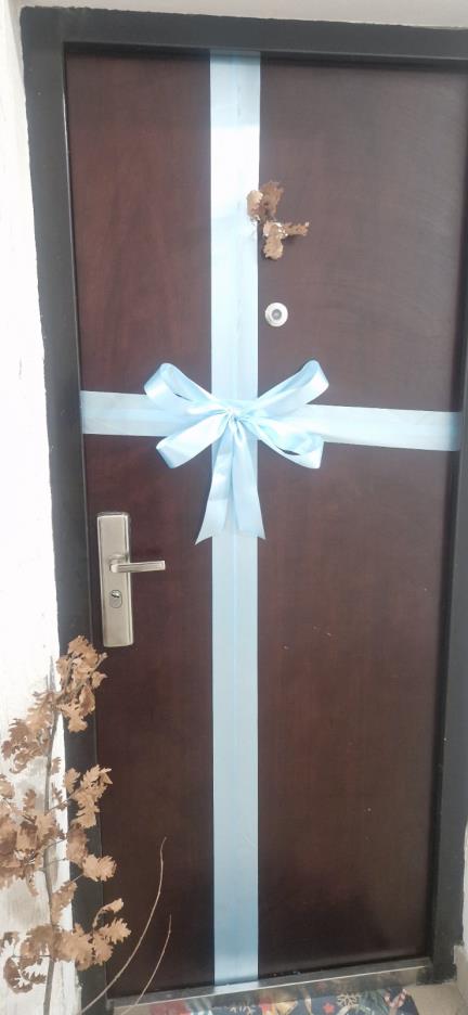 Porodica Stevanovic, otac Goran, sin Viktor  foto privatna arhiva  (3).jpg