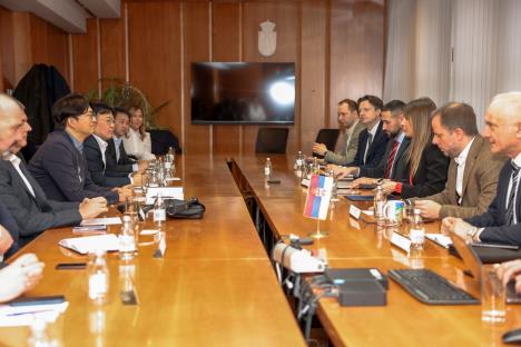 Dubravka Djedovic Handanovic 2.jpeg