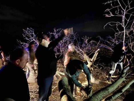 WhatsApp Image 2025-01-26 at 9.42.12 PM (1).jpeg