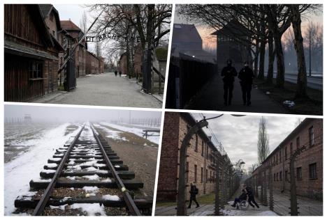 collage.jpg