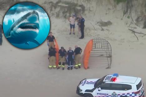 Screenshot 2025-02-03 160730 copy.jpg