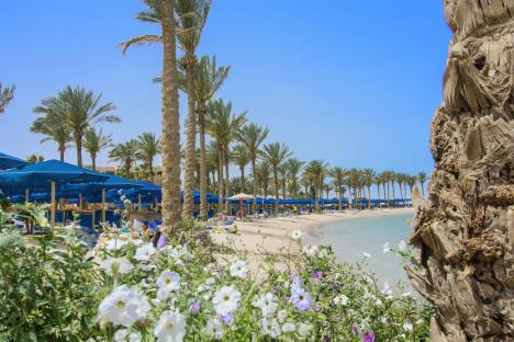 Continental 2023. 3.JPG