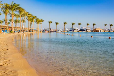 Continental 2023. 2.jpg