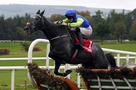 Džokej se bori za život nakon pada sa konjia