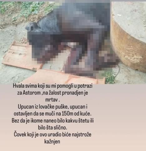 unnamed132132 copy22.jpg