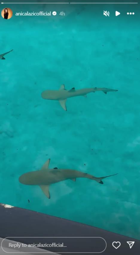 anica lazic i lazar ristovski na putovanju 1.png