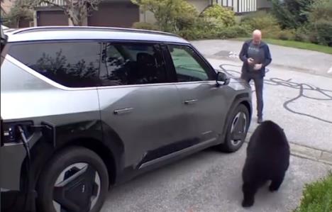 Aleksa Goldina napao medved u garaži.jpg