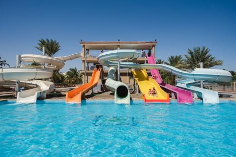 Desert Rose 2025.12.jpg