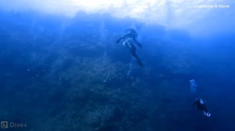 Screenshot 2025-02-23 215547.png