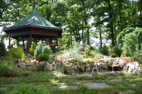 WhatsApp Image 2025-02-25 at 8.27.09 PM.jpeg