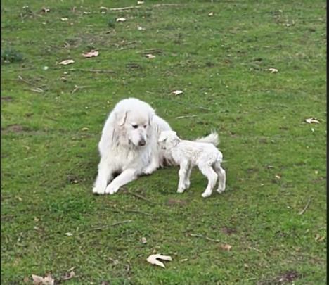 Screenshot 2025-02-26 101156.jpg