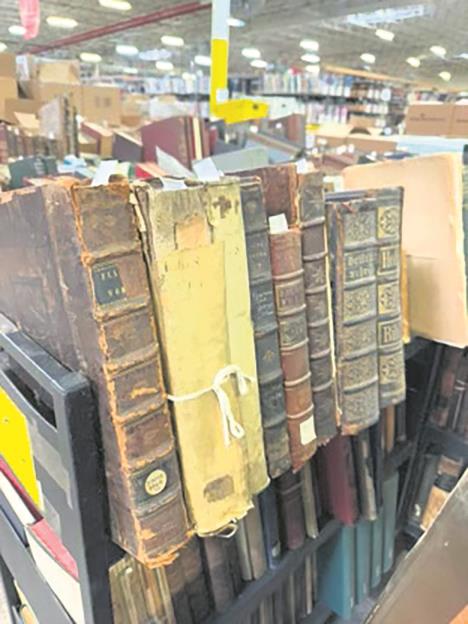 Viktor Lazic (15).jpg