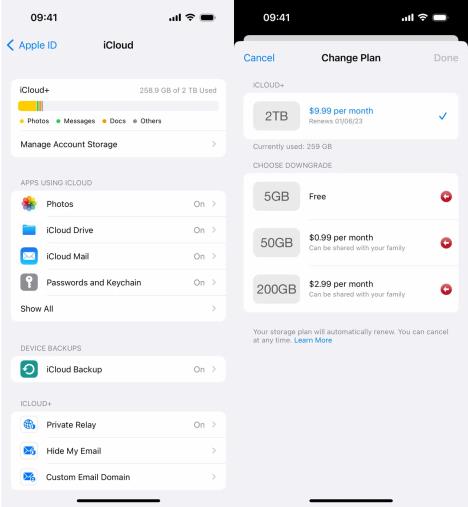 iCloud plan