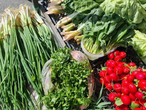 Od njive do trpeze (1).jpg