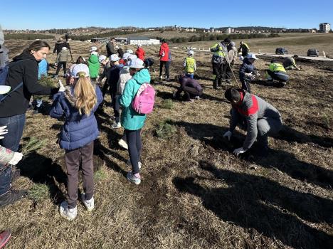 Акција пошумљавања 4.JPG