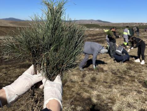 Акција пошумљавања 2.JPG