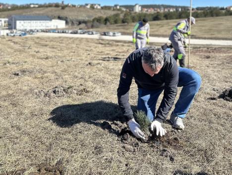 Акција пошумљавања 1.jpg