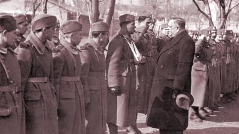 Milan Nedić.jpg