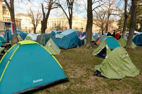 WhatsApp Image 2025-03-08 at 08.03.32_db6e5a18.jpg