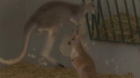 Screenshot 2025-03-10 192635.png