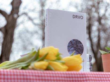 Promocija knjige Drvo_foto Bogoljub Arsenin 1 (1).jpg