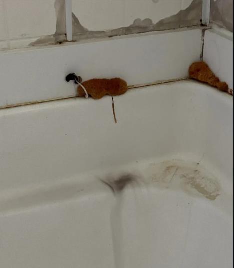 Screenshot 2025-03-11 130515.png